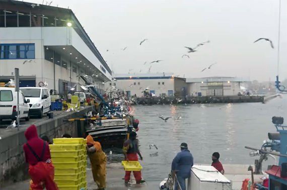 Detalle del puerto de Vigo. Descargando pescado