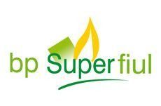 El logotipo de bp superficial es un logotipo verde y amarillo con una llama.