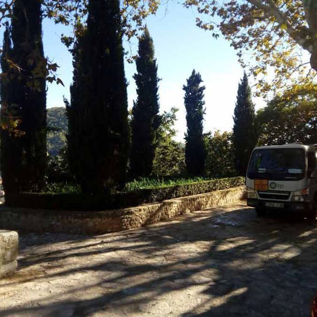 Una camioneta blanca está estacionada en un estacionamiento con árboles al fondo.