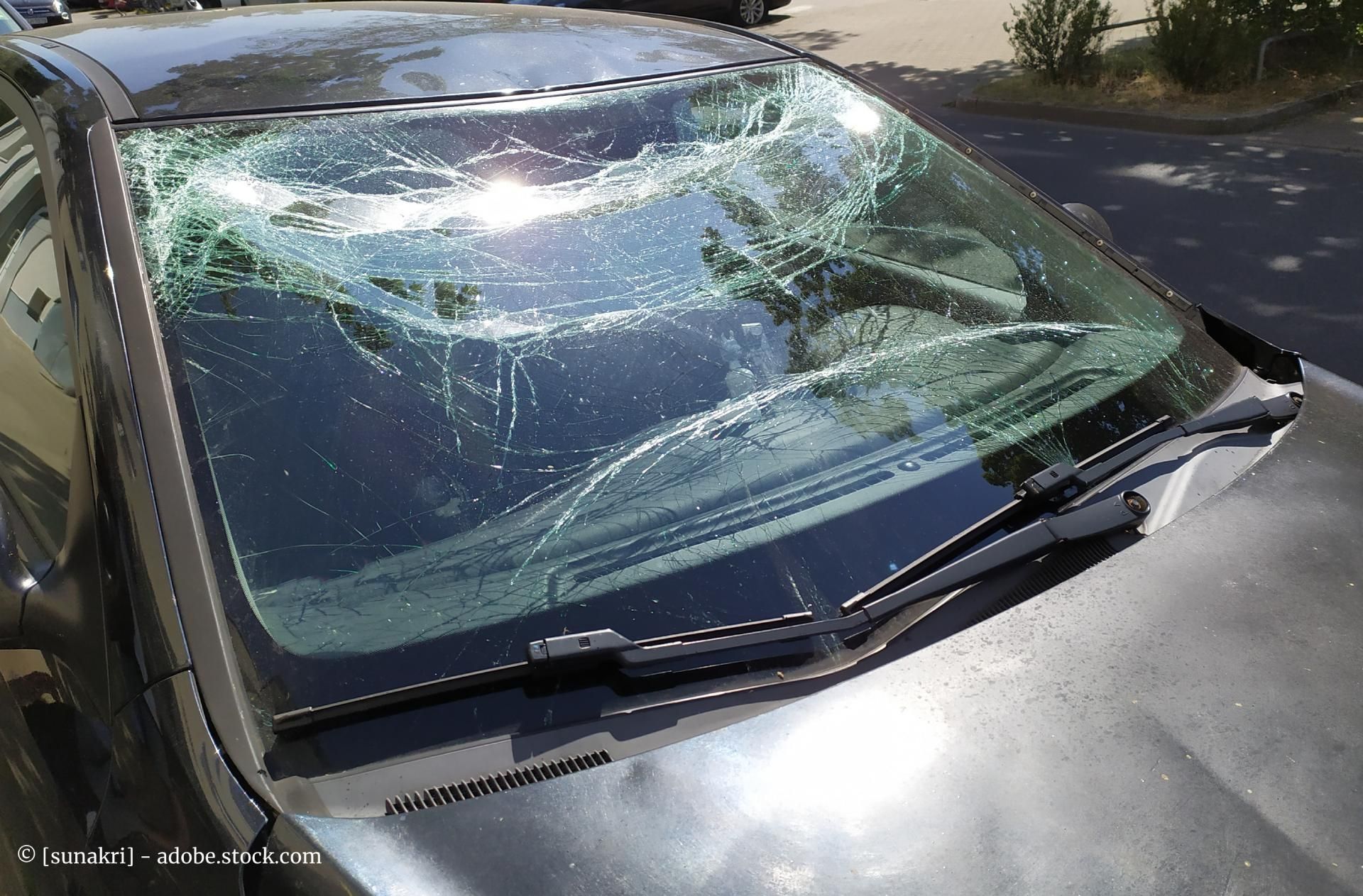 Autoglas Profis GmbH