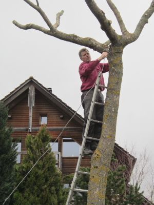 Gartenarbeit und Gartenbau - Kompetent in Haus und Garten
