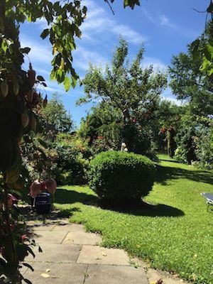 Gartenarbeit und Gartenbau - Kompetent in Haus & Garten