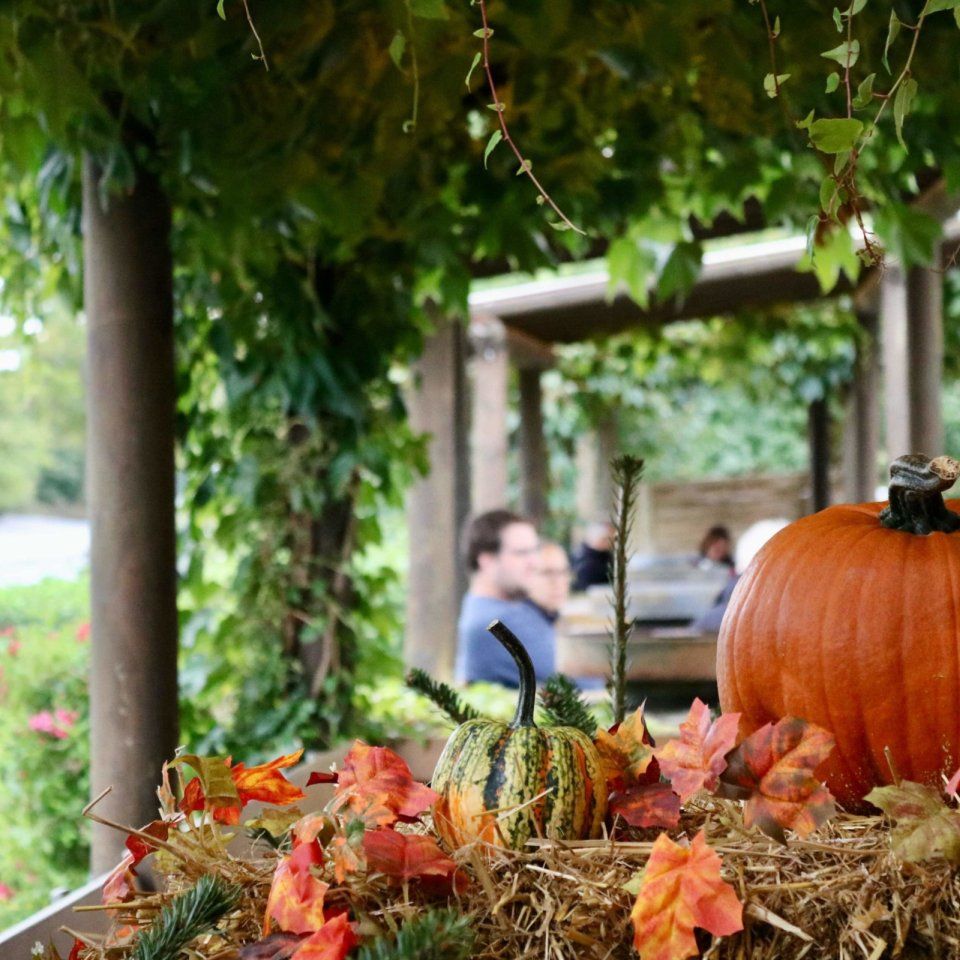 Kürbisdeko