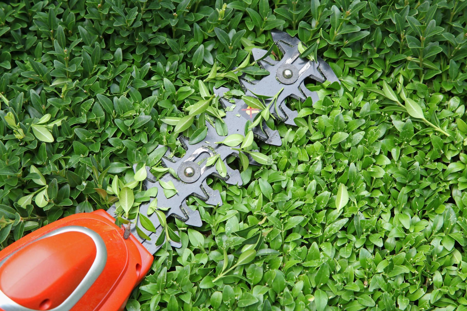 Propre Nickel - Paul Charbonné - Services de conciergerie et nettoyages professionnels à Lausanne et environs