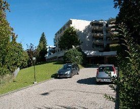 Charbonné Propre Nickel