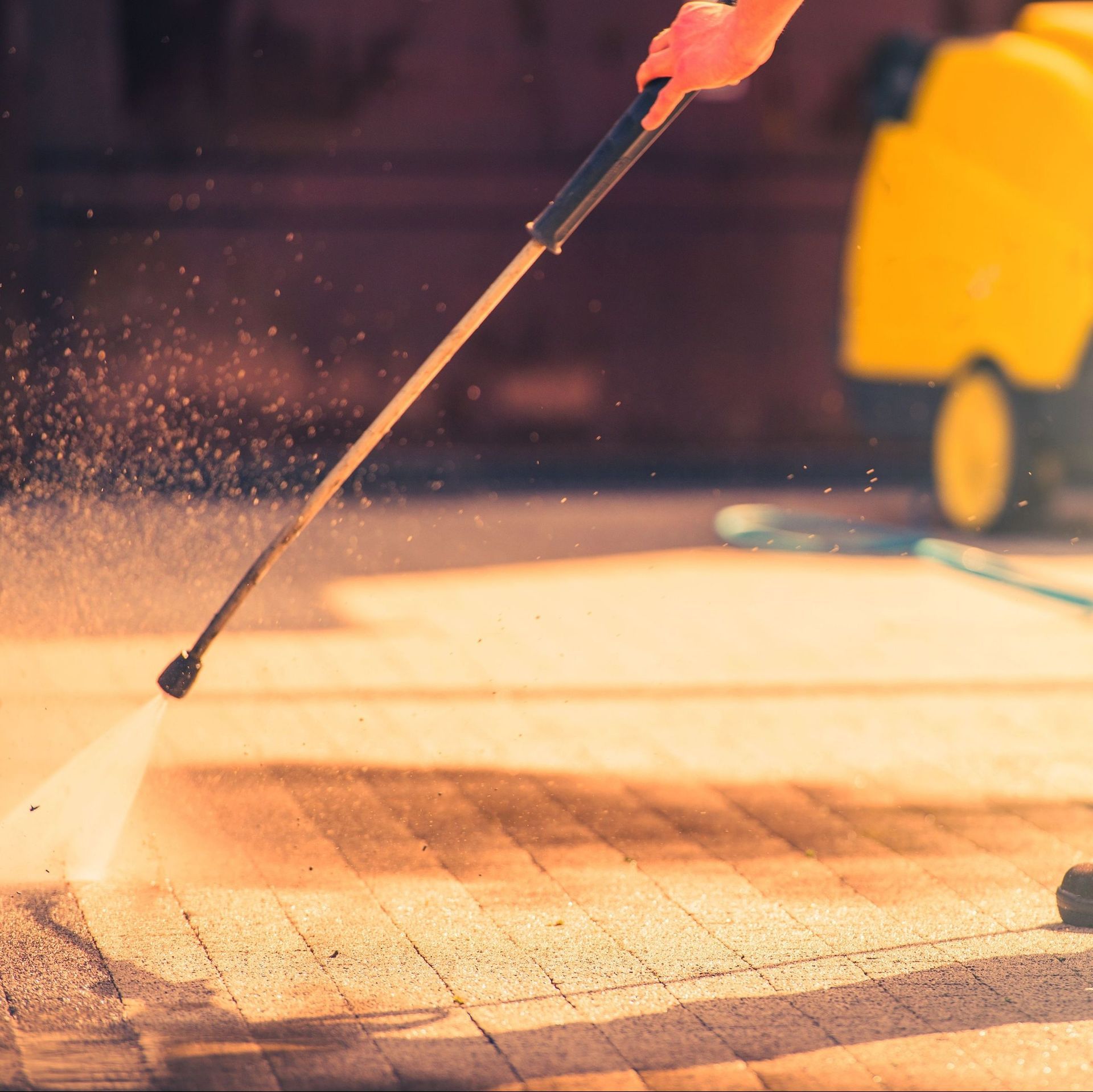 Propre Nickel - Paul Charbonné - Services de conciergerie et nettoyages professionnels à Lausanne et environs