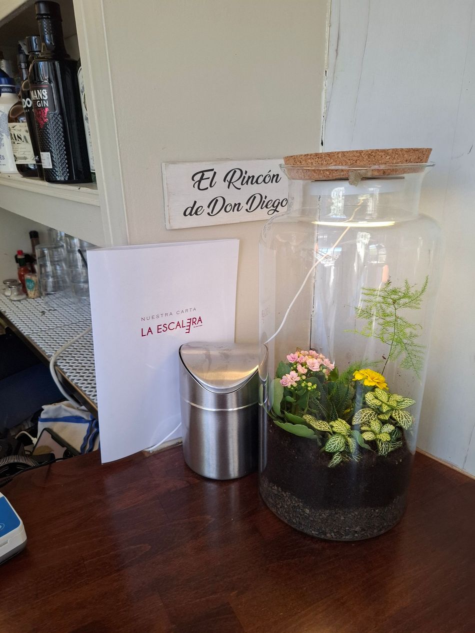 Jardín de Morris Planta