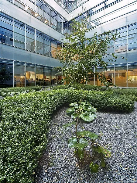 Hay un árbol en el medio del patio de un edificio.
