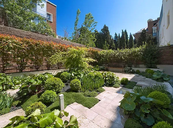 Un jardín lleno de muchas plantas y árboles.