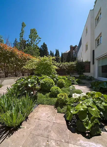 Un exuberante jardín verde con un edificio blanco al fondo.