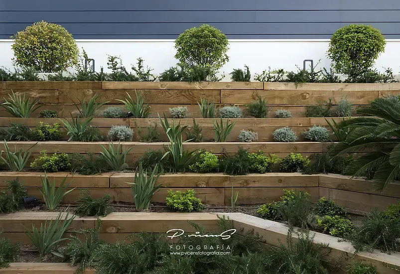 Una pared de madera con muchas plantas creciendo en ella.