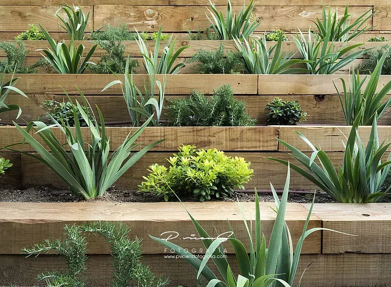 Una hilera de jardineras de madera llenas de muchas plantas.