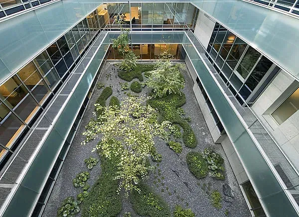El interior de un edificio con un jardín en el medio.