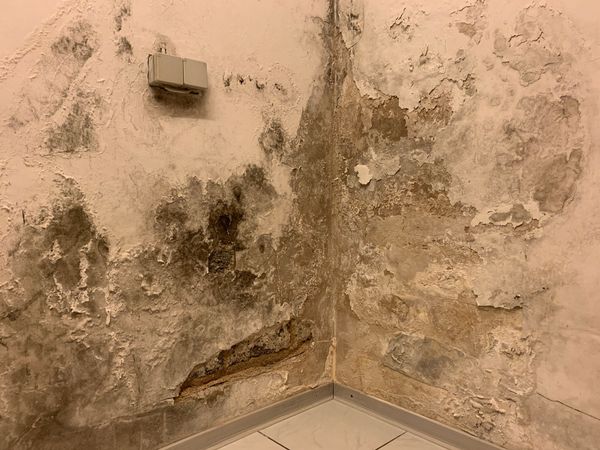 Schimmelige, durch Wasser beschädigte Eckwand mit abblätterndem beigen Putz und Flecken