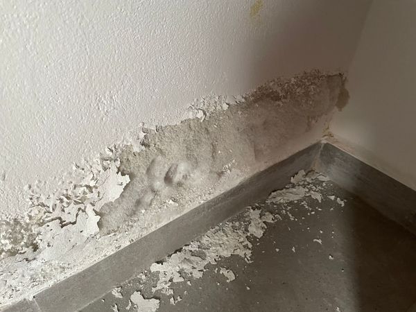 Abblätternde weiße Wandfarbe und bröckelnder Putz in der Nähe einer Bodenecke mit grauer Fußleiste