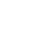 rautasoini