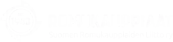 rautasoini