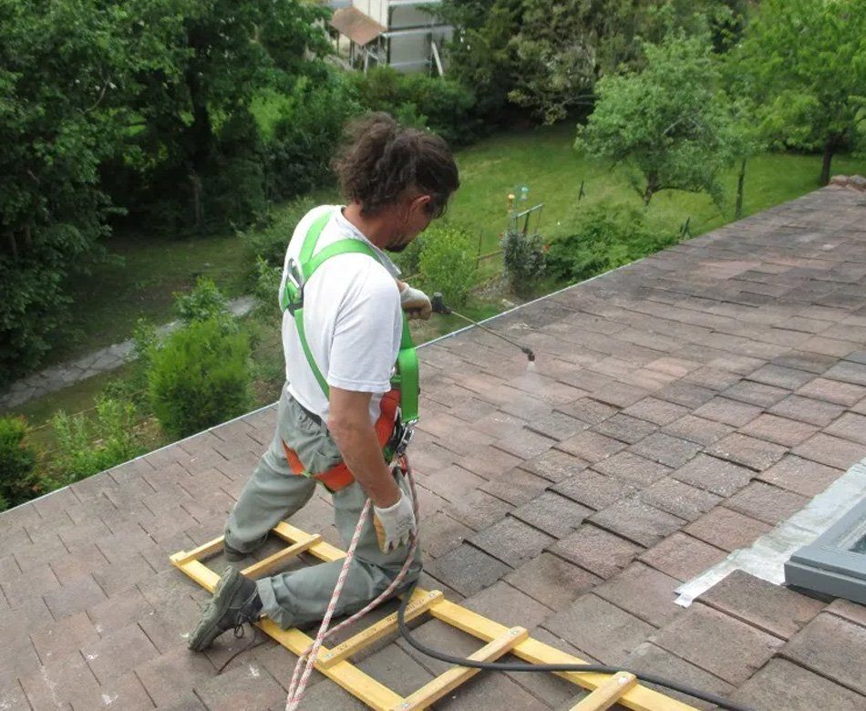 Nettoyage de toiture