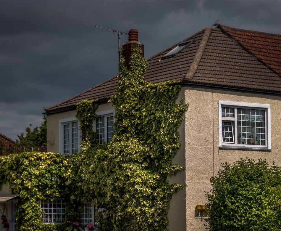 Nettoyage de façade