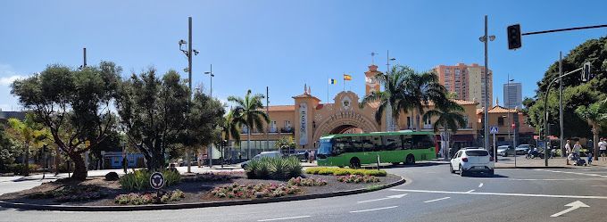 Un autobús verde circula por una rotonda en una ciudad.