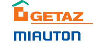 Un gros plan d'une feuille de palmier qui ressemble à un éventail