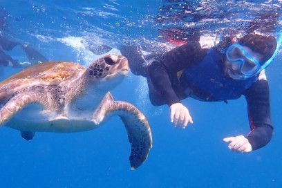 snorkel con tortugas en costa adeje
