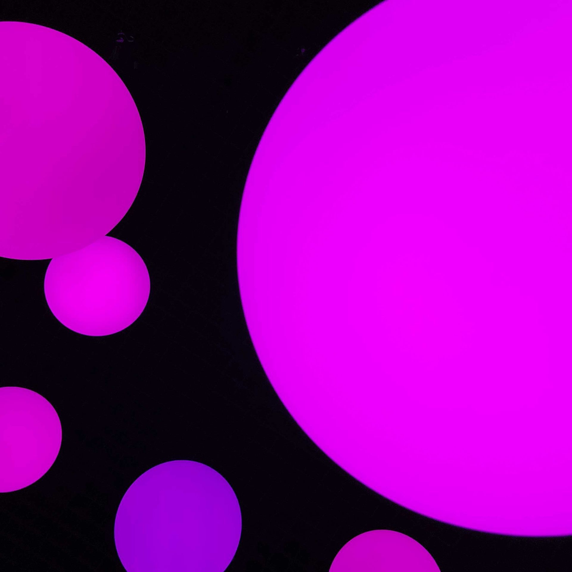 Orbes brillantes de color rosa y morado sobre un fondo negro oscuro.