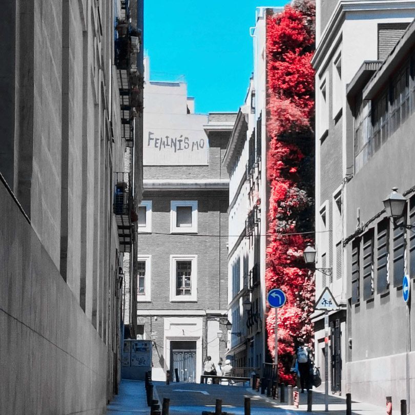 Callejón con jardín vertical rojo, cielo azul y edificios en escala de grises. Grafiti 