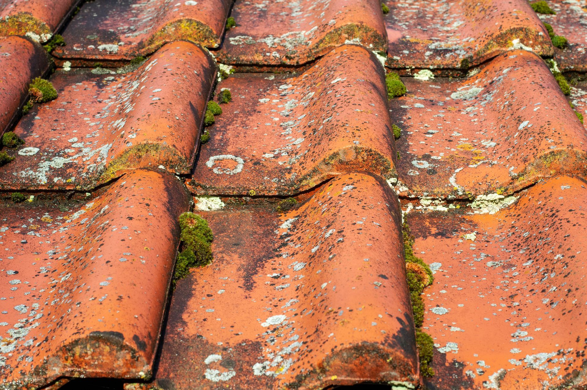 Eau qui coule sur les tuiles d'une toiture