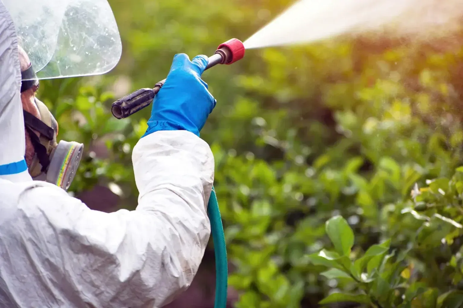 Un hombre con un traje de protección está rociando plantas con un pulverizador.