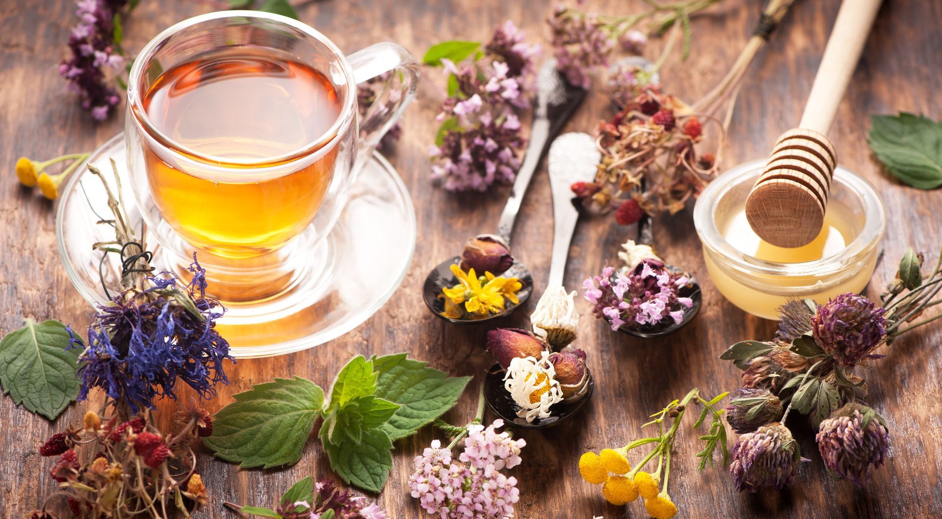 Une tasse qui infuse et des fleurs séchées disposées dans trois cuillères