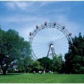 Busreisen Diendorfer