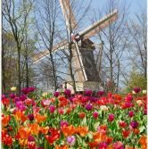 Busreisen Diendorfer