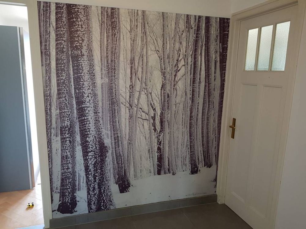 Goy Plâtrerie - Peinture : peinture décorative