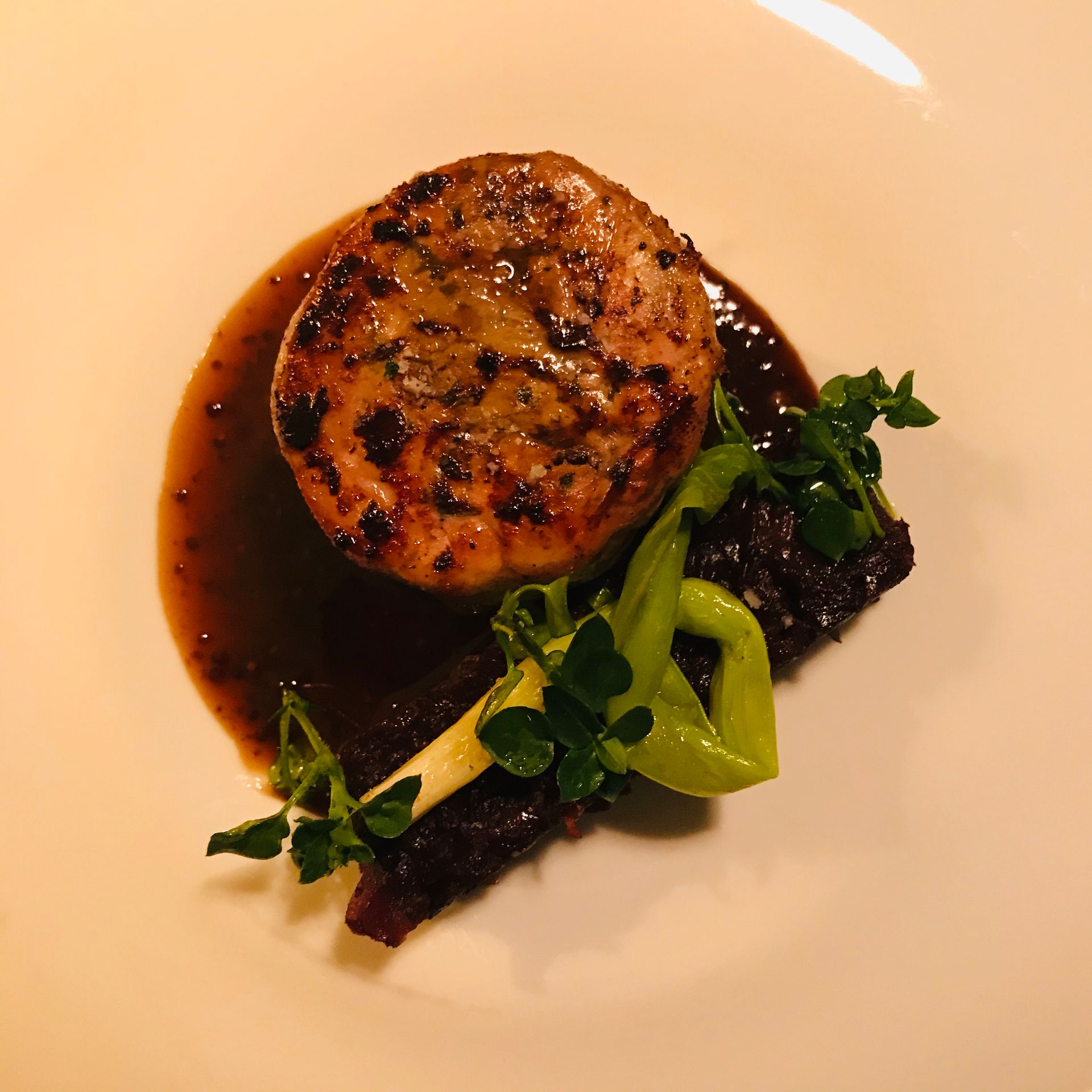 Une portion de viande saisie et de forme circulaire repose sur une sauce foncée, garnie de verdure, sur une assiette blanche.