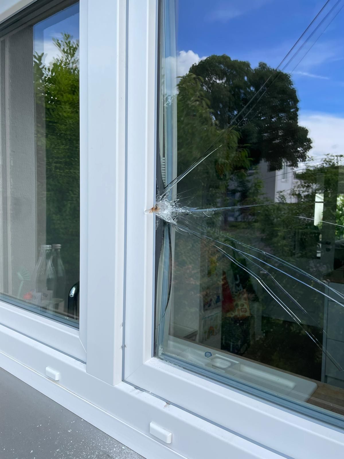 Ein zerbrochenes Fenster mit einer Spiegelung von Bäumen darin