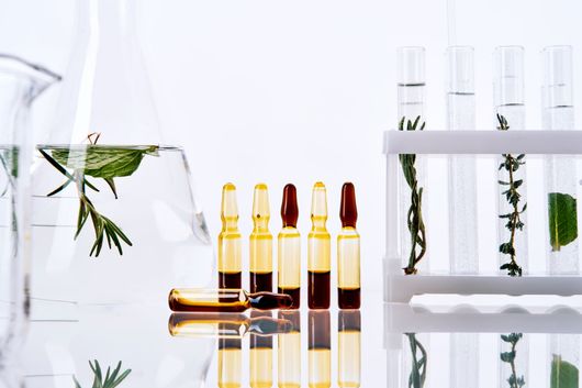 Verrerie de laboratoire contenant des herbes et des flacons.