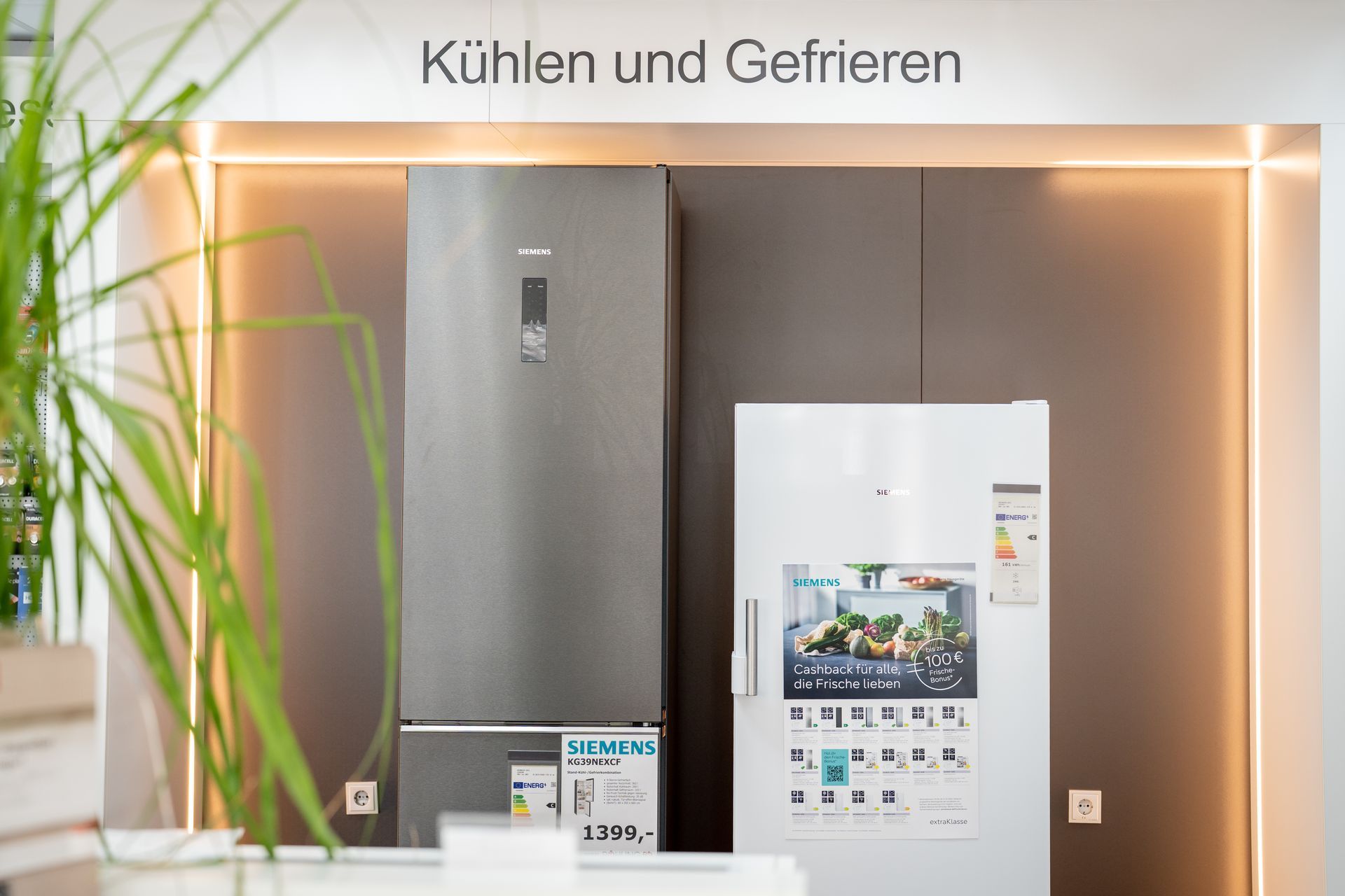 Verkaufsraum mit Kühlschränken