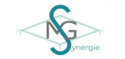 Logo de MG SYNERGIE