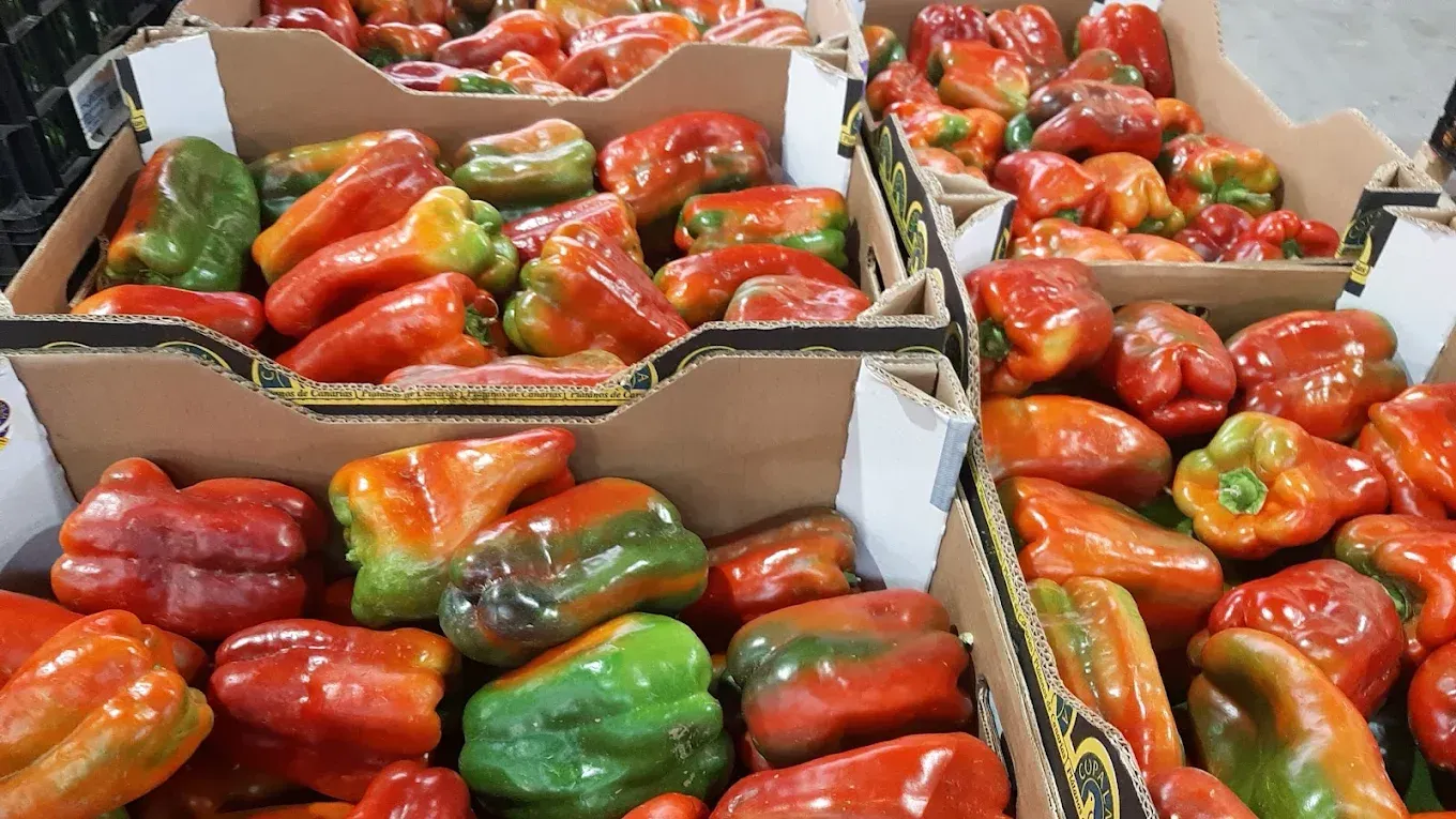 Cajas repletas de pimientos de colores, desde el verde al rojo.