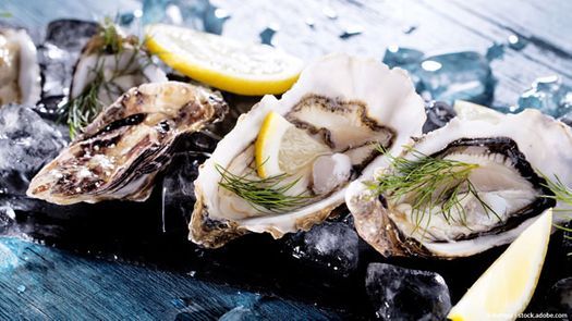 Haus Sylt Style Wohlfühlhäuser - Syltambiente