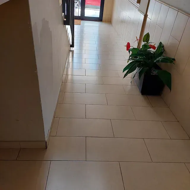 Un pasillo con una planta en maceta en el medio.