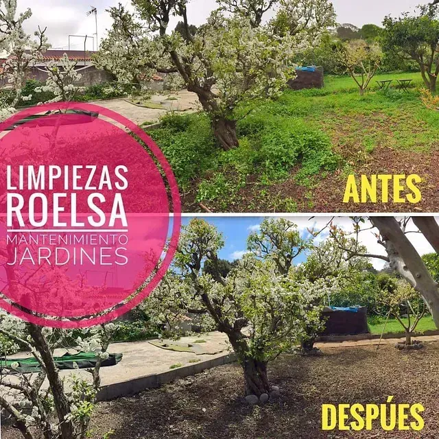 Una foto de un jardín antes y después de ser limpiado por roelsa