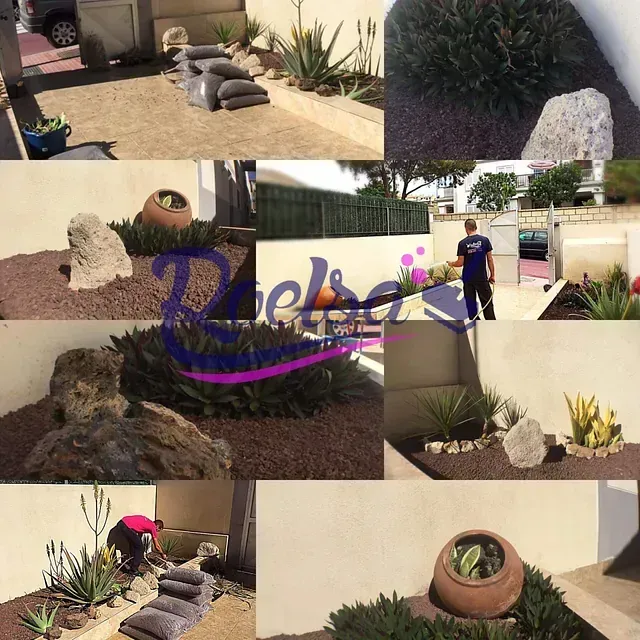 Un collage de imágenes con la palabra Chelsea en la parte inferior.