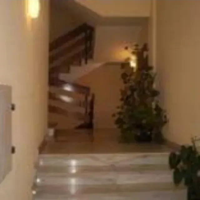 Un pasillo con escaleras y una planta en el medio.