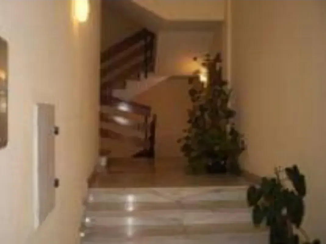 Un pasillo con escaleras y una planta en el medio.