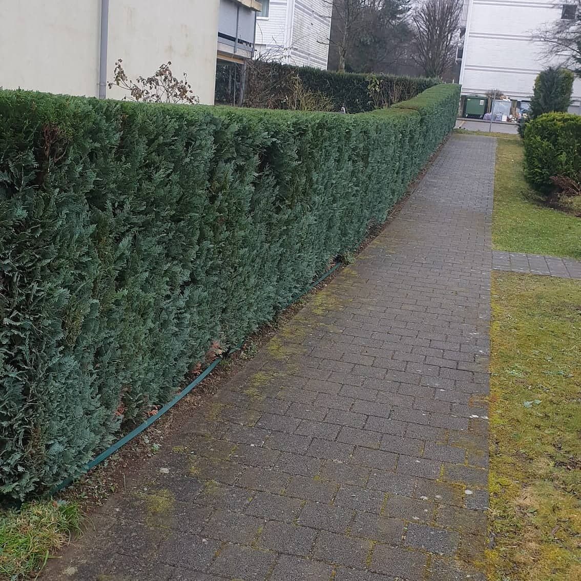 Hauswartung und Reinigung
