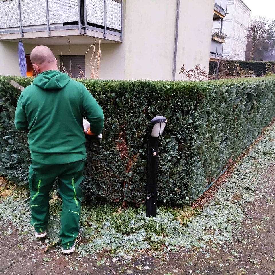 Hauswartung und Reinigung