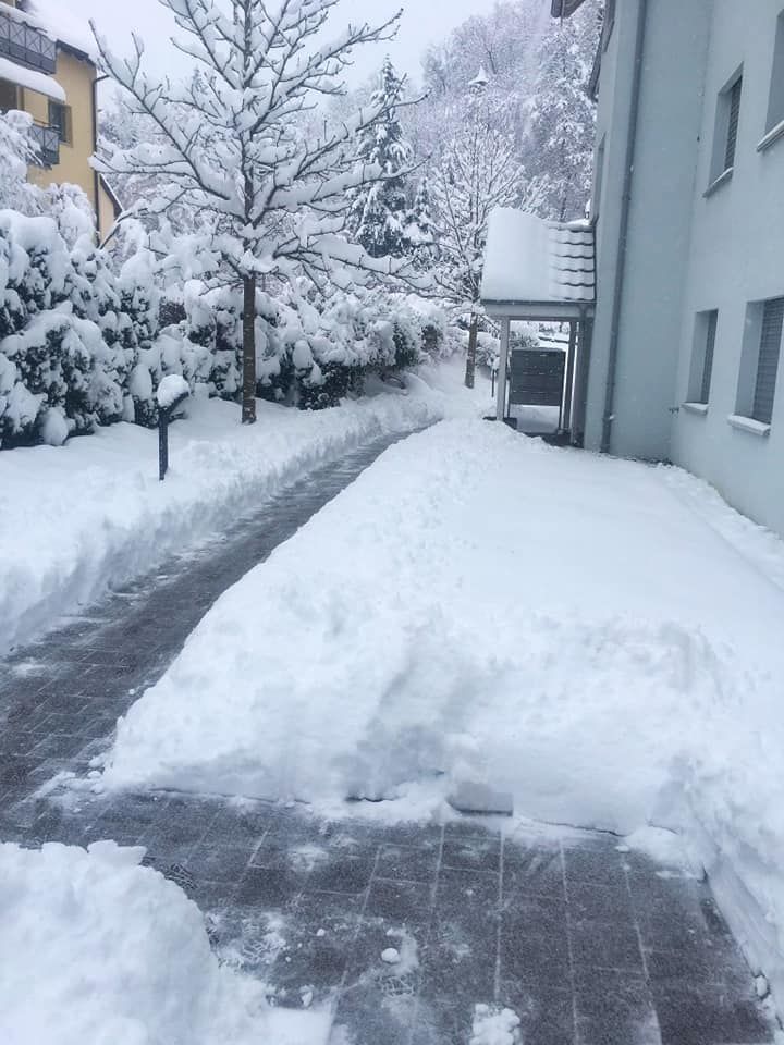 Hauswartung und Reinigung