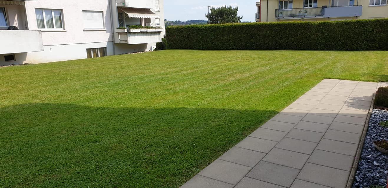 Hauswartung und Reinigung